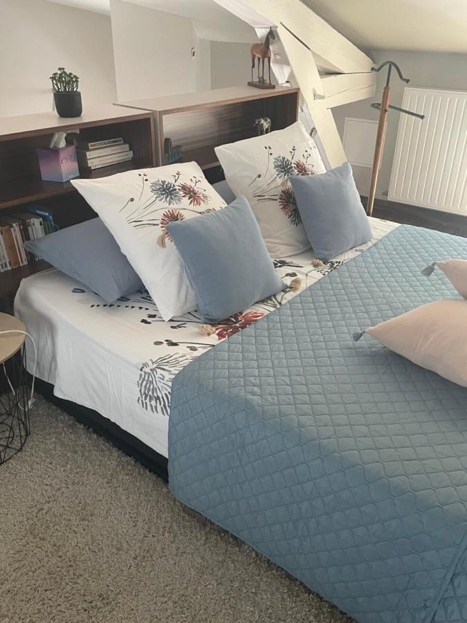La Suite Alain 낭시 외부 사진